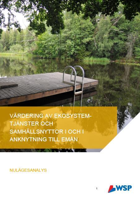 Ekosystemtjänster och samhällsnyttor: Emån - Vad har vi gjort?