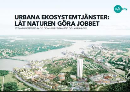 buller, fångar CO2 och ökar välbefinnandet mm) Började med att lista viktiga ekosystemtjänster i kommunen, vilka man led