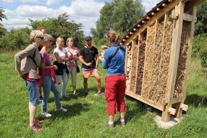 Bränning av fjolårsgräs ger plats åt växter som inte klarar tät vegetation. Ett nytt bihotell vid naturum ska gynna vildbin. Skalbaggsåsar och blommande åkerkanter gynnar jordlöpare och pollinerare.