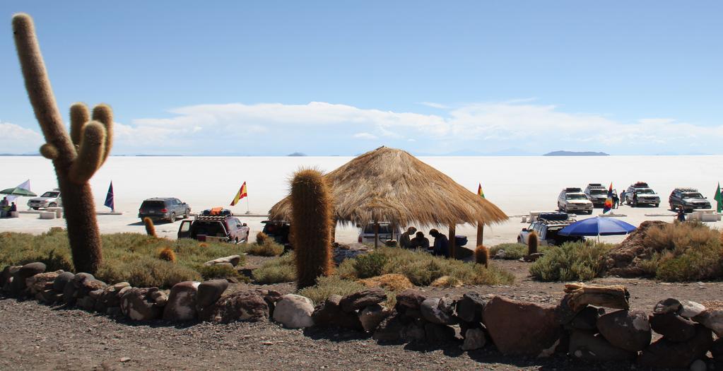 Dag 6: Potosi - Uyuni Förmiddagen är fri för egna upptäckter, kanske besöker ni Ojo del Inca? Där finner ni en fantastisk miljö runtomkring en lagun som är 30 grader varm året om.