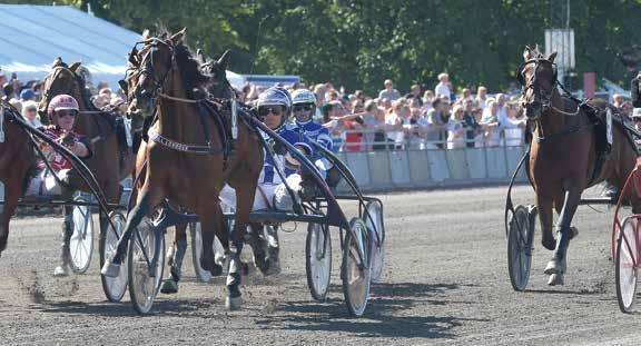 öppen Kalmar 7 december E3 00 ANMÄL DIN HÄST SENAST 8 FEBRUARI!