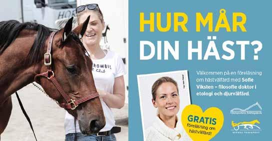 s Caviar - 18: 0 0-0-0 0 17: 1 0-0-0 0 Tot: 1 0-0-0 1 Cabriole F.C. e Banker Hall Samuelsson O J 04/16 -p 1/ 160 p 30,6 - - 1p Uppf: Bergners Färgcenter AB, Söderhamn Samuelsson O J 09/16 -k 6/ 140 k
