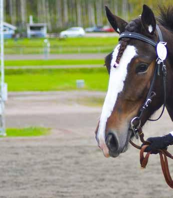 Anmälan & frågor: Lotta Eskilsson, 070-30 3 41 eller lottaeskilsson0@gmail.
