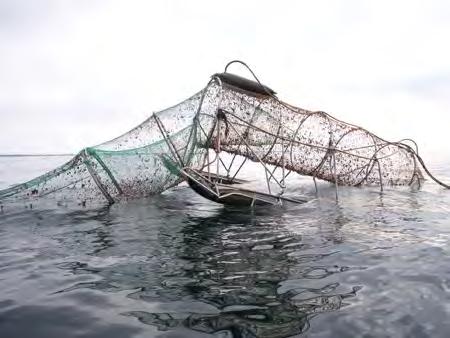 Ökad selektivitet i pushup-fälla för torsk PPU-1 - selektering av undermålig torsk i (för arten ämnade) pushup-fällor Fiske / målart: torsk Område: Östersjön Fartyg: KN 12 / YD 20 Redskap: