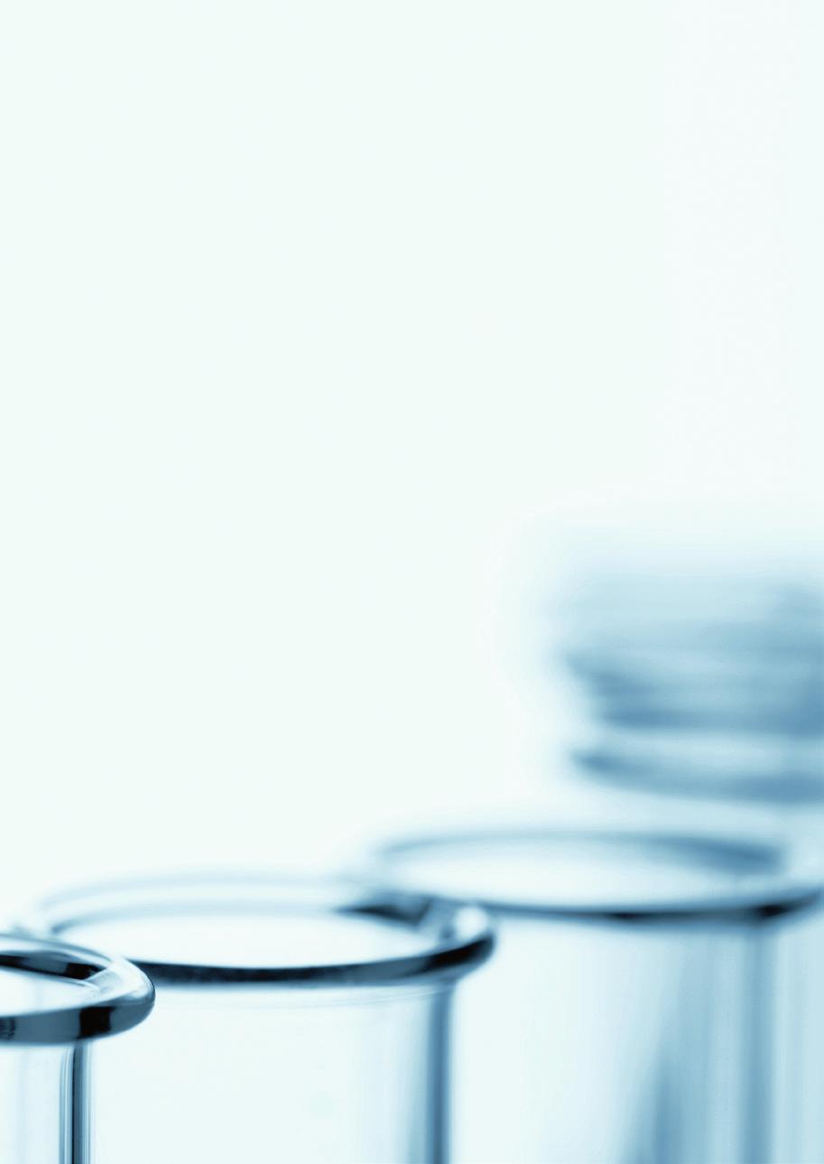 2016 i i korthet Viktiga händelser efter årets utgång Nyckeltal Nexam Chemical och Armacell tecknar leveransavtal avseende NEXAMITE -teknologin och relaterade produkter avsedda för tillverkning av
