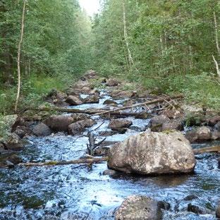 NATUR Ekologisk anpassning av trumma eller rörbro Naturlikt vattendrag.