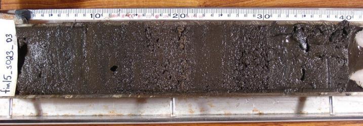 Bild 7. Sedimentkärna.