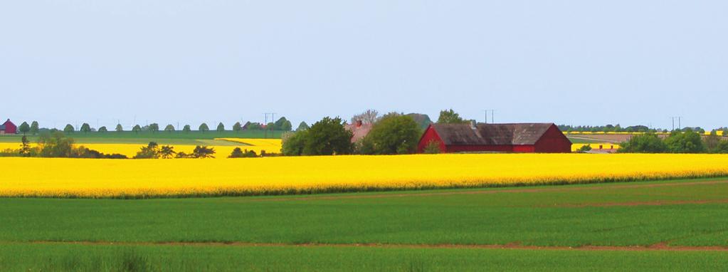 Vi garanterar Senast tre veckor efter det att dina insatser har påbörjats ska din genomförandeplan vara klar och personalen arbetar utifrån den.