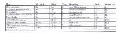 planteringsgropen). Därefter myllas ett kilo benmjöl per tio kvadratmeter i det översta skiktet.