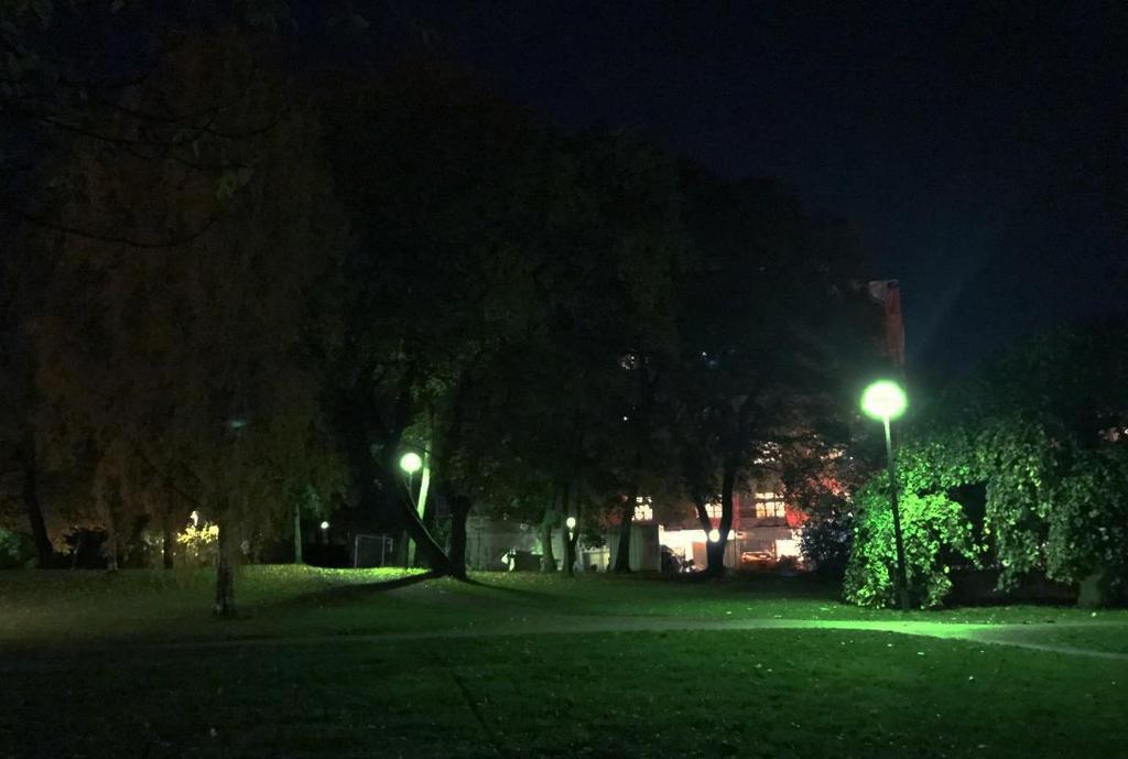 Figur 10 Befintliga träd blockerar ljuset 6.2.