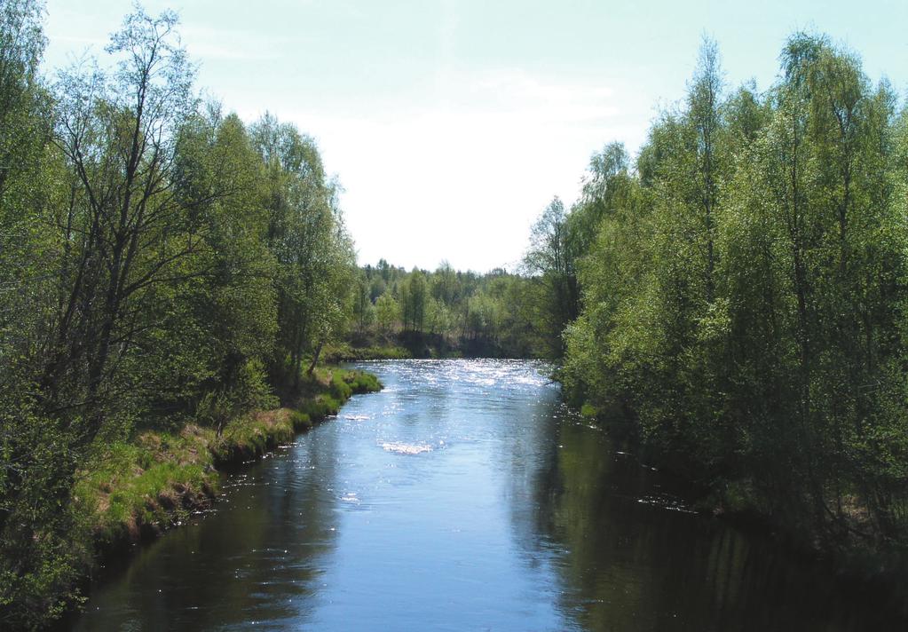 Förstudie Norrbotniabanan Skärgårdslandskap 10.4 Påverkan på Natura 2000 och riksintressen Riksintressen för naturvården och Natura 2000 10 Effekter och konsekvenser Figur 10.6: Skärgårdslandskap.