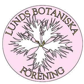 Förening