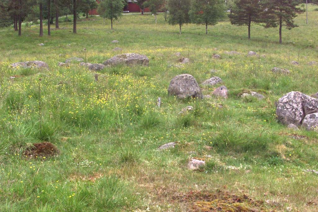 6 Resultat 3.1 Jordbruk Ytorna består av 3 sammanhållna ytor som kan anses vara åkrar. Utöver dessa finns söder om området 3 närliggande åkrar.: 1 åkern är ca 40x35 m 2 stor.