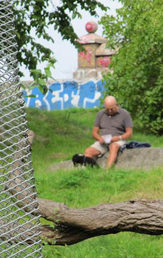 Samspel I inventeringen visades att grönskan och utsikter är värdefullt för lek och vistelse.