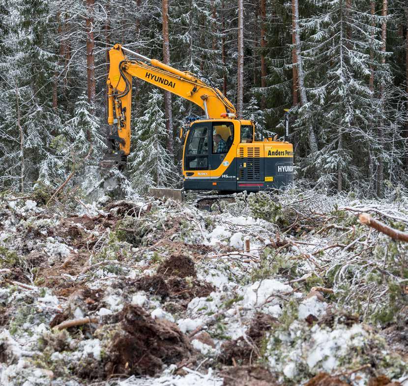 MARKBEREDNING MARKBEREDNING SKOGEN SKOGEN Markbereda i djupsnö fungerar Att markbereda med grävmaskin på vintern ger bra föryngring och ny skog på svåråtkomliga marker. TEXT: Anna Dahlgren.