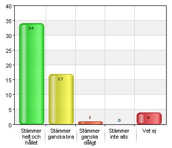 Jag upplever att pojkar och flickor behandlas jämlikt.