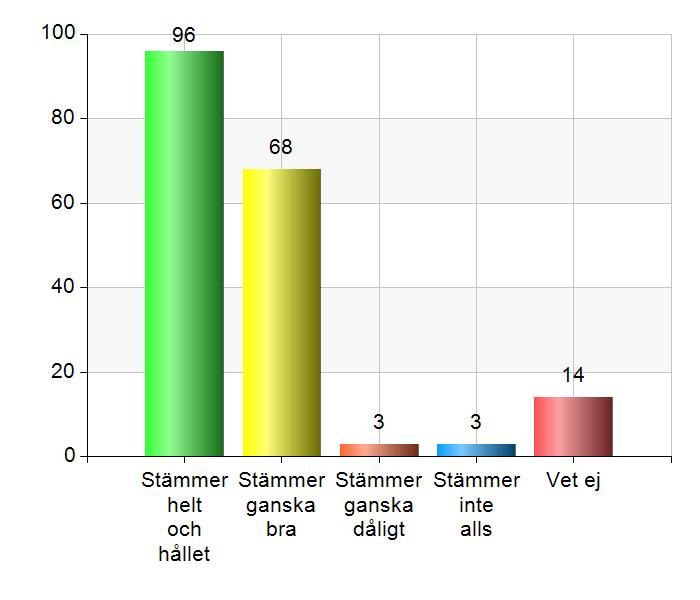 Jag känner mig trygg i skolan.