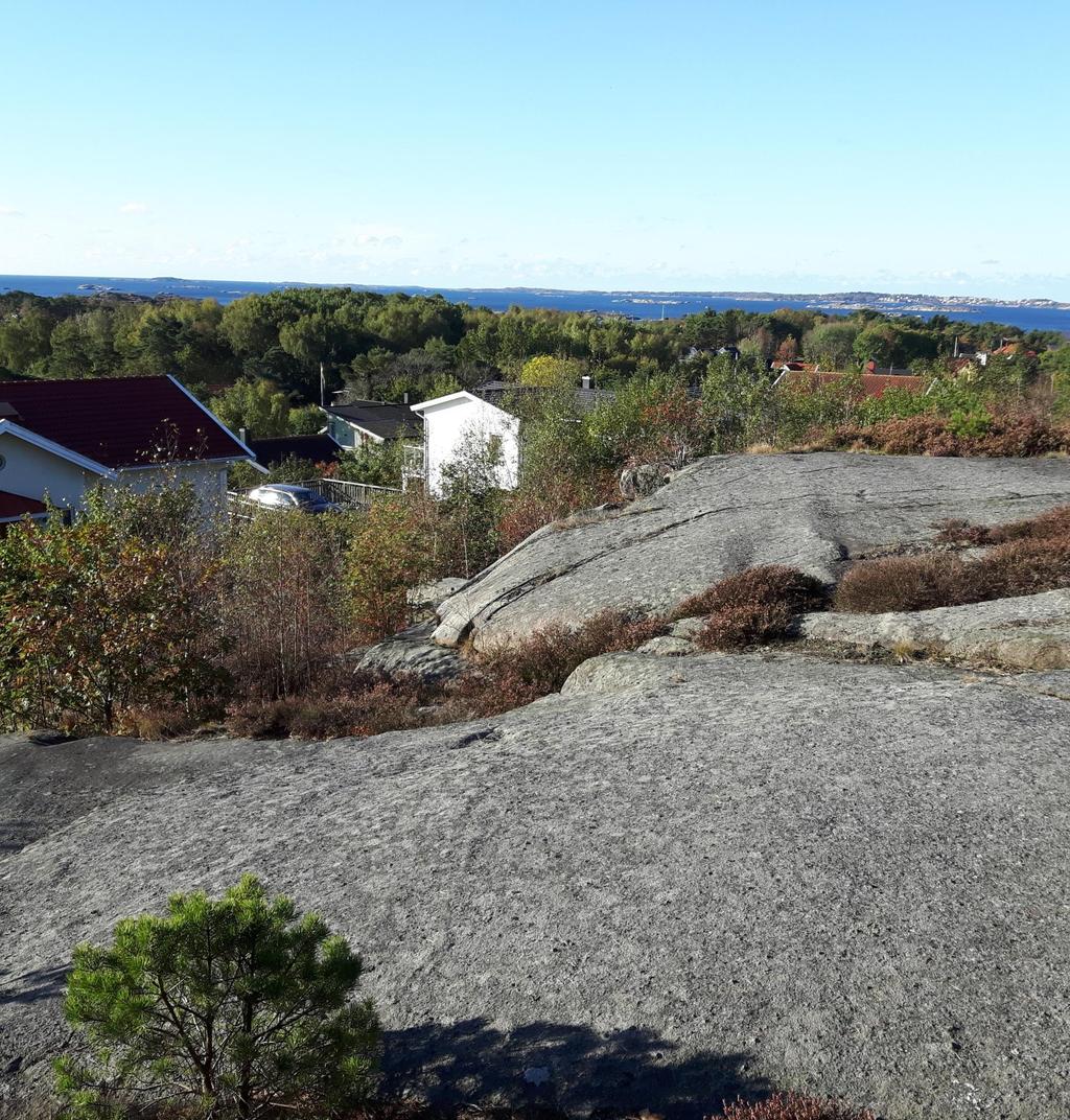 TJUVDALSBACKEN NÄSET 115:18 OCH 43