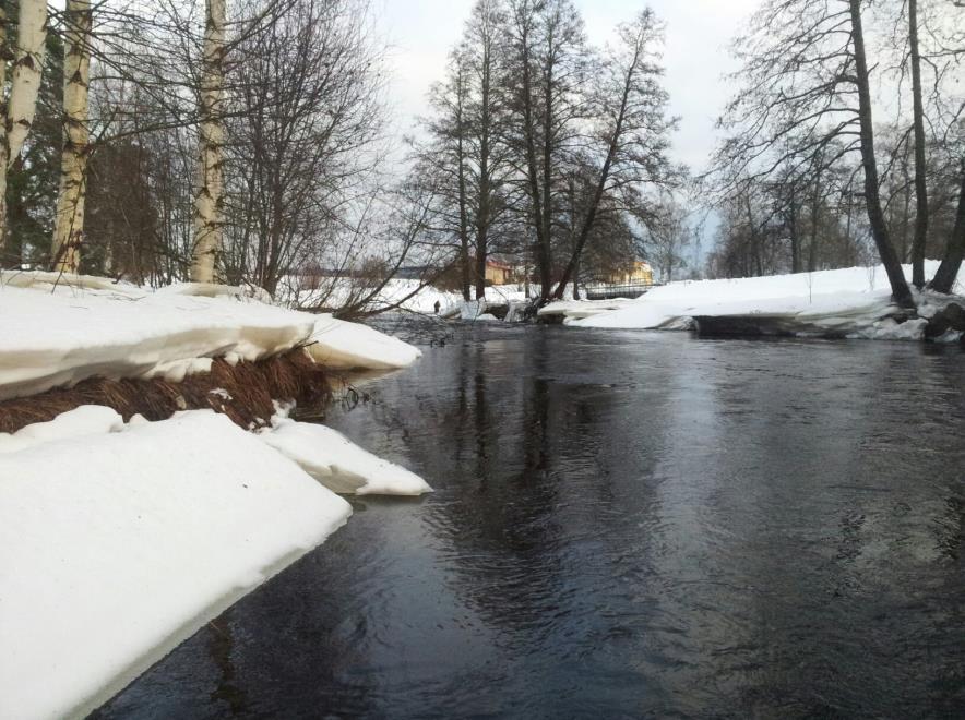 Isformation och vinterförhållanden är viktiga komponenter för fiskbestånden i strömvatten i nordliga vattendrag (Alfredsen et al. 2006, Huusko et al. 2007).