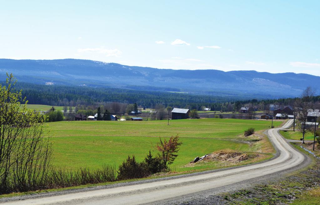 Tulleråsen och Rise Några ord om våra år i Tulleråsen och Rise Till sommaren är det 8 år sedan vi fick förmånen att köpa den lilla gården i slutet på byn.