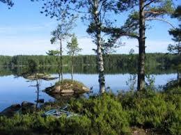 Bygg och