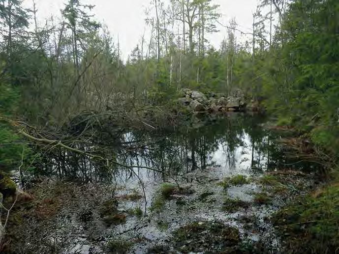 16 Västarvet kulturmiljö/lödöse museum Rapport 2015 :29 Figur 3. Nyfunnet stenbrott, kvartsbrott, objekt nummer 179, vid station Skogssäter, Trollhättans socken, Trollhättans kommun.