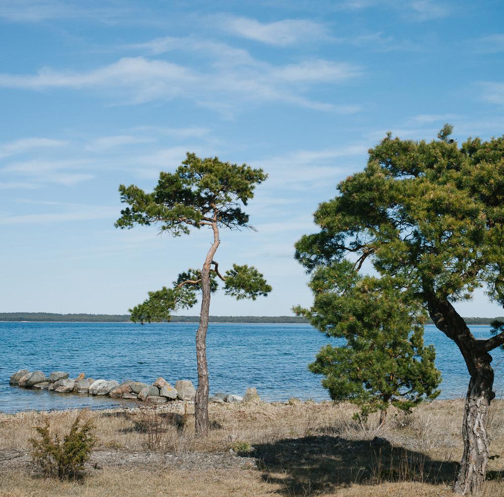 Fårösund Visby Välkommen till Gotlands folkhögskola! GOTLAND Gotland är en vacker ö mitt ute i havet och om du letar efter en plats med karaktär, kultur och historia har du hittat rätt!