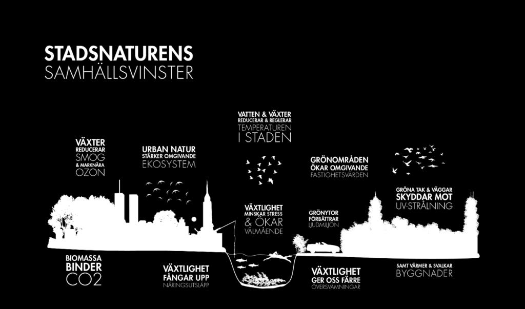 VINNOVA UDI S3 Datum: 180328 C/O City Projektets diarienummer: 2015-00415 2 (19) Figur 1. Stadsnaturens samhällsvinster.
