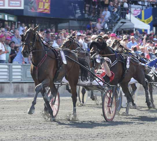 HalmstadTravet Fredag juni Första start kl.