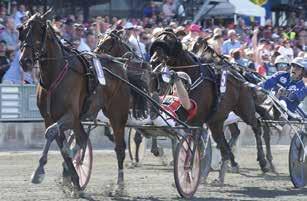 : Euro Classic Trot Next Year - Treåringslopp Ston VIRTUAL LEG* (IT) 0:, AM 000,mbr. s.