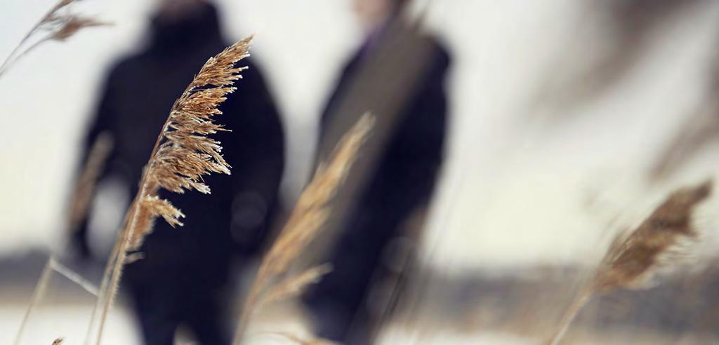 Finansiell information RESULTATET VFF Pension uppvisar ett positivt resultat på 272 548 tkr efter skatt (114 701 tkr). PREMIEINKOMSTER Under året inbetalades totalt 336 944 tkr i premier enligt nedan.