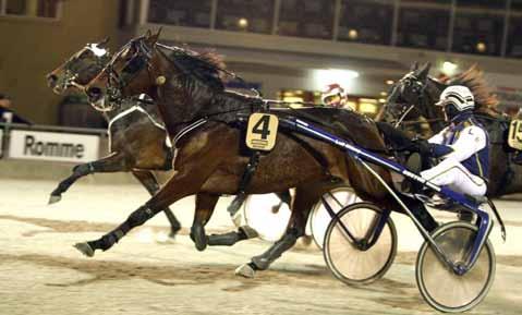 111231 Leif avslutade året med en dubbelseger Igår, på Romme, satte Leif Witasp punkt för ännu en säsong. Det blev en bra avslutning med en dubbelseger till stallet.