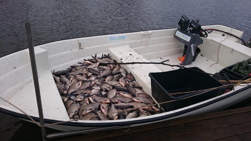 Dessa gjorde det endast möjligt att fiska på få områden i sjön.