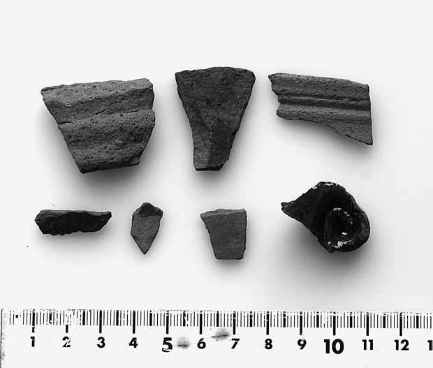 12 Bohusläns museum 2010:54 Discussion The dendrochronological analysis performed on the three samples from Tossene 983 revealed that the site is possibly an earlier wreck than was previously