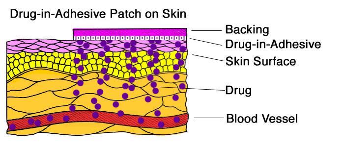 TRANSDERMAL