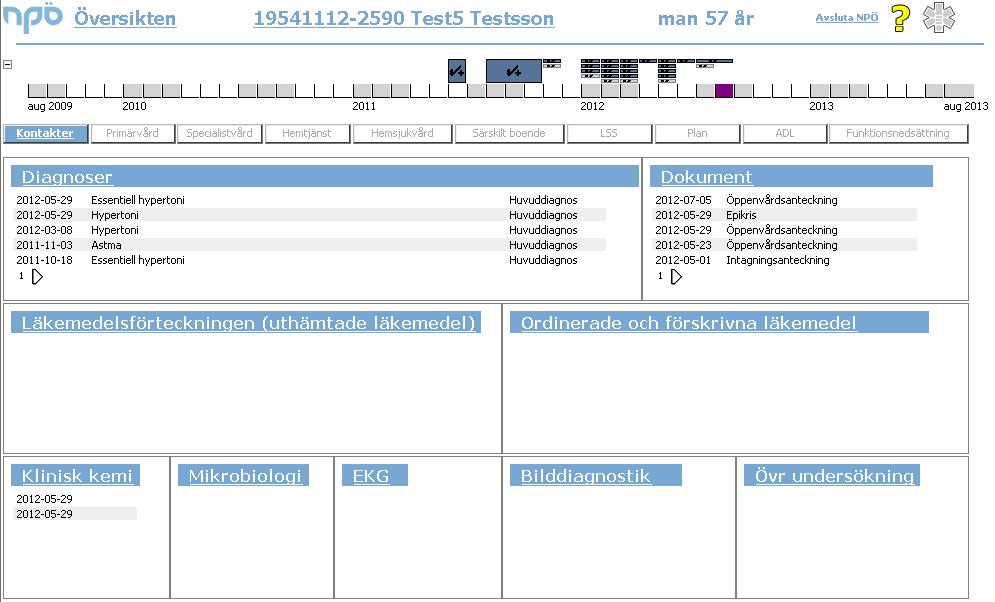 Översikten ger en sammanfattning av patientinformationen.