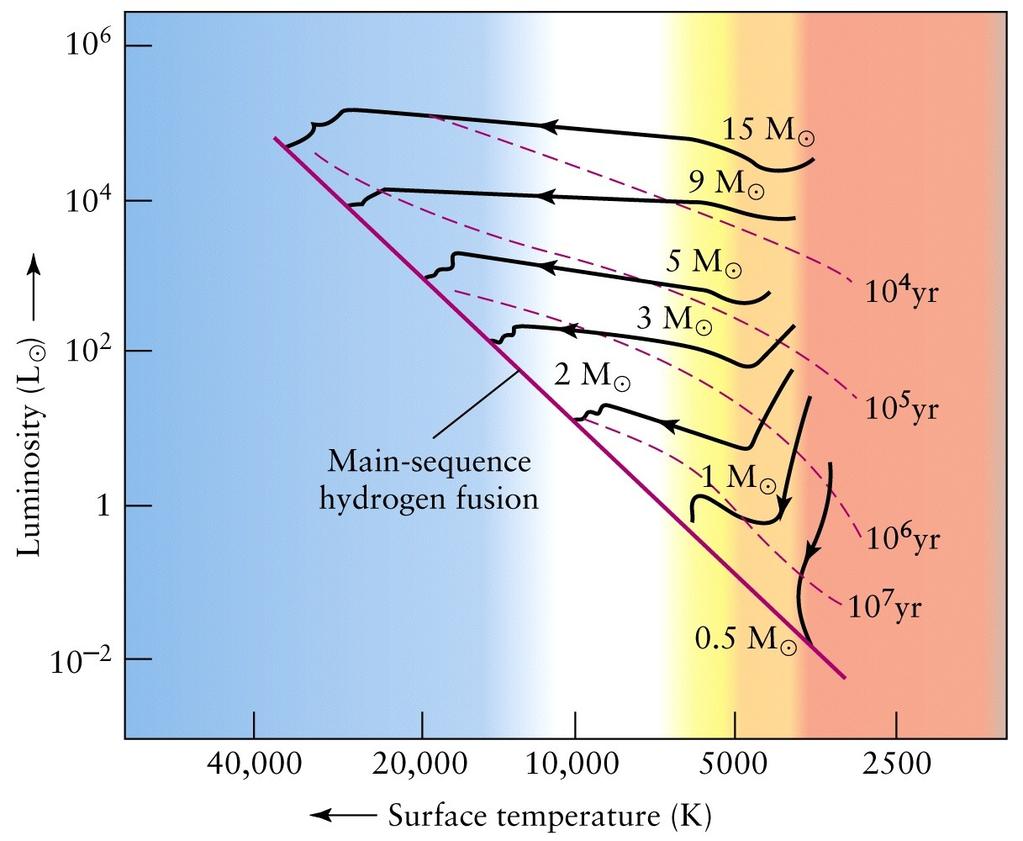 Lätta stjärnor Utvecklas långsamt, tunga stjärnor