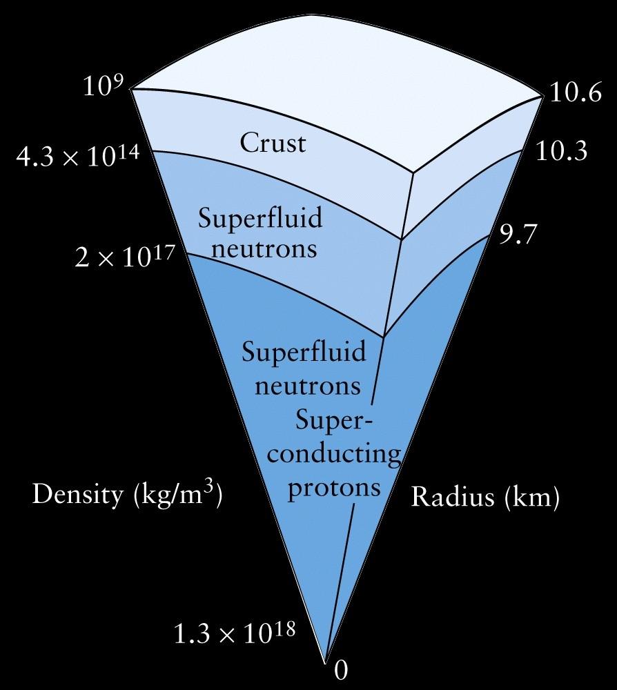 En tårtbit av en neutronstjärna med massan 1,4 solmassor.