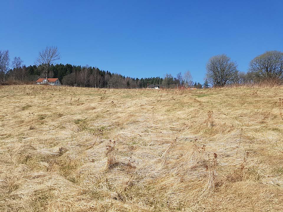 Naturvårdsarter: Inga noterades vid fältbesöket. Område 14 Betesmark Naturvärdesbedömning: Naturvärdesklass 4 Biotop: Betesmark Beskrivning och naturvärden: Torräng i soligt läge.