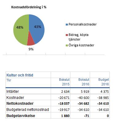 Ekonomisk analys Kultur och fritid Kultur och fritid har ett underskott på ca 70 tkr.