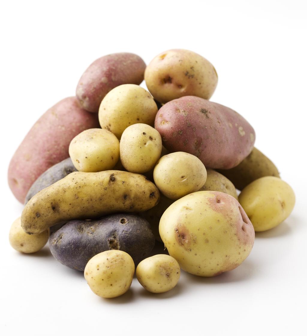 Potatis olika namn Indianerna kallade potatisen för papa. Spanjorerna i Sydamerika tog samma namn för potatisen men det gjorde däremot inte spanjorerna i Europa.