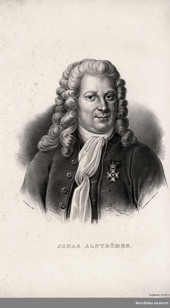Jonas Alströmer är den som fått äran av att ha infört potatis i vårt land. På sin gård Nolhaga utanför Alingsås började han år 1724 att odla potatis.