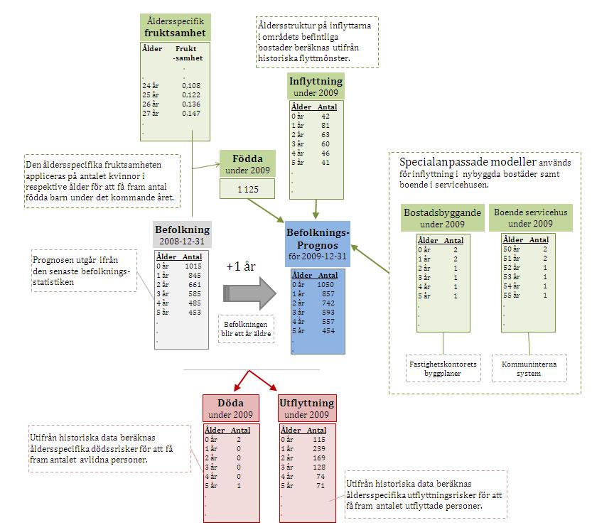 s Stads modell för beräkning av befolkningsprognoser Befolkningens förändringskomponenter Stads befolkningsprognoser beräknas i mars maj varje år och utgår ifrån den