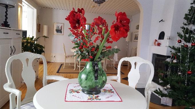 Elöverkänsligas Förening i Jönköpings län M E D L E M S B L A D Nr 1-2018 Ordförande har ordet: Foto: Ann-Louise K.