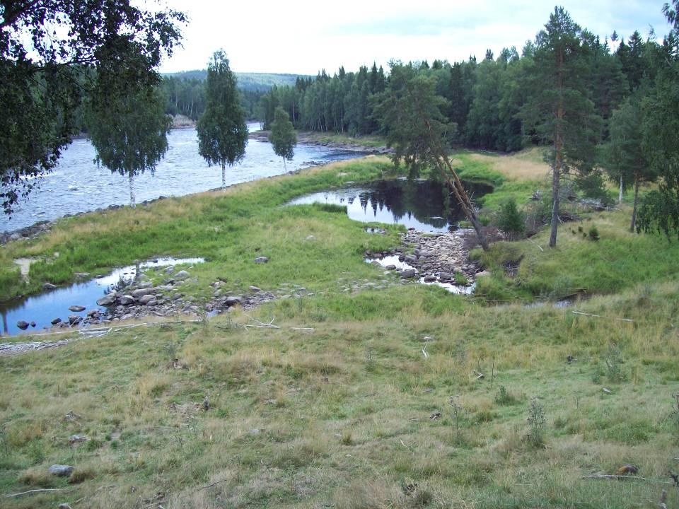 Långforsen,