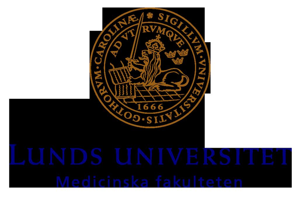 1 Dr nr: STYR 2016/14 Lund 2016-05-24 Inledning Regeringen har uppdragit åt universitet och högskolor att bedriva ett aktivt internationaliseringsarbete.