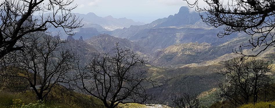 Gran Canaria, 7 nätter 1(8) Vandra på Kanarieöarna Cruz de Tejeda Gran Canaria, 7 nätter Agaete La Lechuza, 6 vandringsdagar En vandring på Gran Canaria tar dig bortom de stora turiststråken och