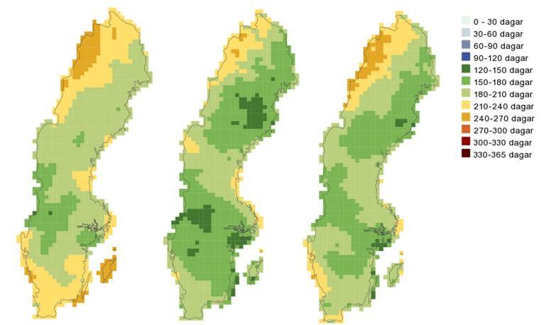 Figur 24. Antal dagar då halt i luft av marknära ozon överstiger 70 µg/m 3 år 2013 (vänster), 2014 (mitten) och 2015 (höger).