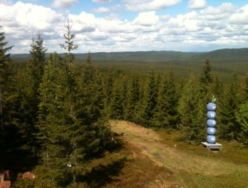 Cirka 900 meter väster om planområdet ligger riksintresse för naturvården enligt 3:6 MB, Kallbolsfloten nr 144 avsatt för områdets myrkomplex och naturskog.