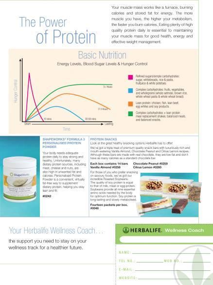 Brist på protein i kosten är väldigt vanligt Hur Grundläggande basnäring fungerar (energi nivåer, blodsockernivåer & hungerkontroll) Äta